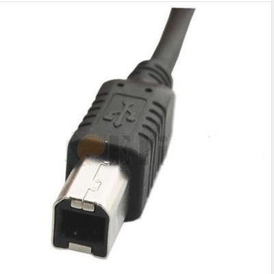 B 남성 케이블 USB 데이타 전송 외국 전신 환금 송금에 남성은 480Mbps까지 평가합니다