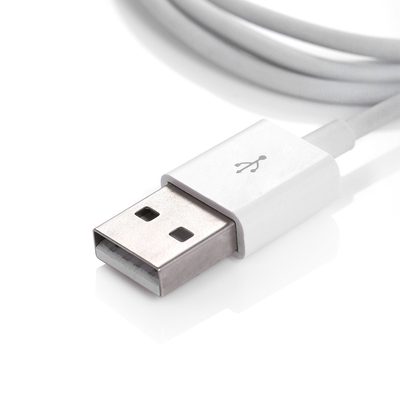 3ft 1m 8 Pin USB 자료 충전기 케이블 코드 Sync의 아이폰 USB 2.0 케이블