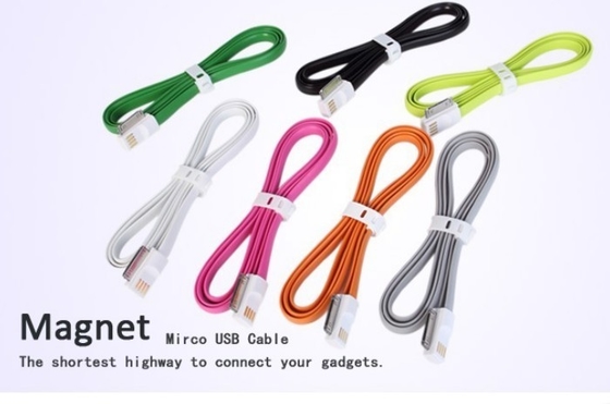 iPhone 4/4S USB 충전기 케이블 자석 30 Pin 1.2m는 오래 철사를 옮깁니다
