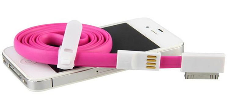 iPhone 4/4S USB 충전기 케이블 자석 30 Pin 1.2m는 오래 철사를 옮깁니다